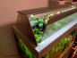 Preview: Individuelle Aquariumabdeckung