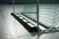 Preview: Safe Goal Handball