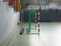 Preview: Safe Goal Handball