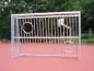 Preview: Aluminium Fußball-Bolzplatztor mit Schusswand Preview: Aluminium Fußball-Bolzplatztor mit Schusswand