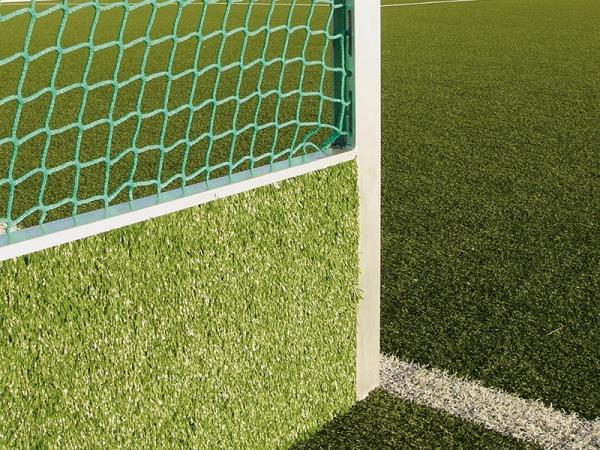 Feld-Hockeytore, Modell Competition, mit Kunstrasen