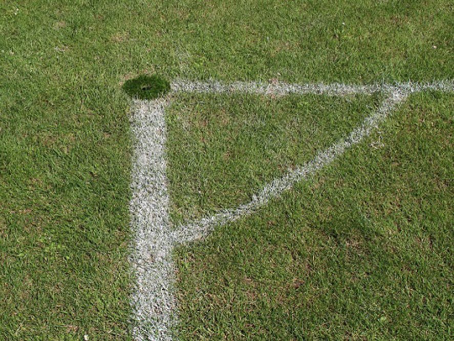 Pfostenmanschette / Grassperre