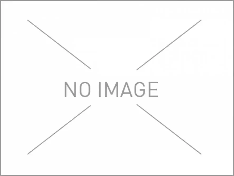 Befestigungsteile für Prallschutzbohle