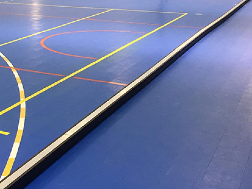 Hallen-Hockeybande, Modell Exklusiv 2016 - Set