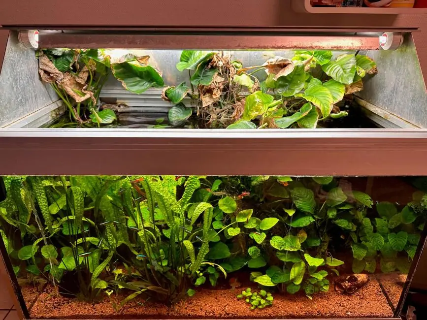Individuelle Aquariumabdeckung 