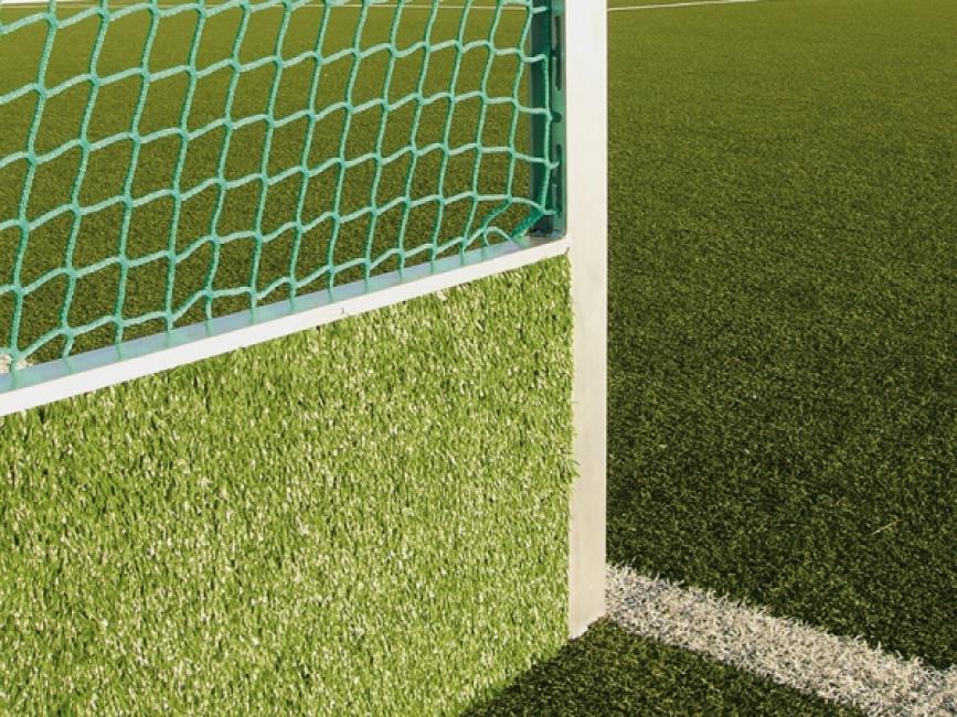 Feld-Hockeytore, Modell Competition, mit Kunstrasen