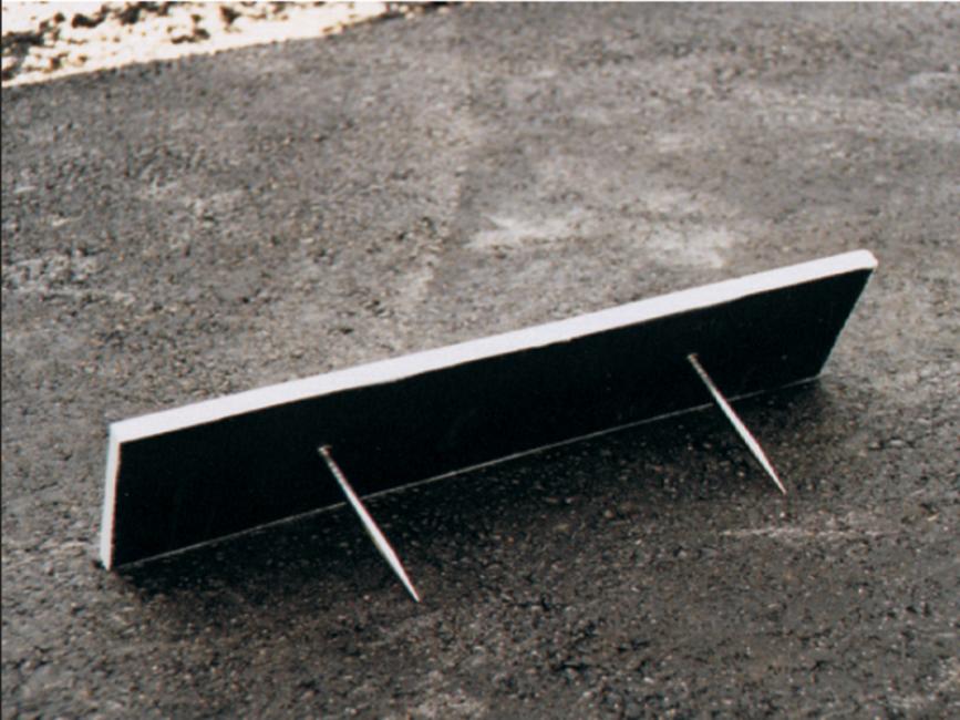 Pitcherplate