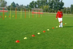 Set farbiger Hütchen / Markierteller / Markierteller auf einem Sportplatz