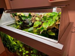 Individuelle Aquariumabdeckung