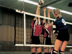 Volleyball-Turniernetze