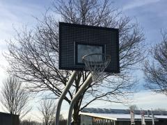 Fahrbarer Basketballständer